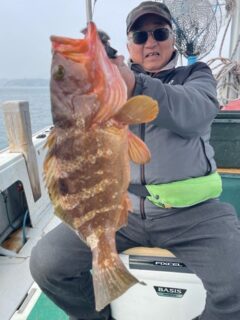 急すぎたのアイキャッチ画像