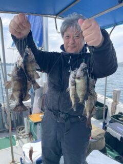 タイかメバルかのアイキャッチ画像